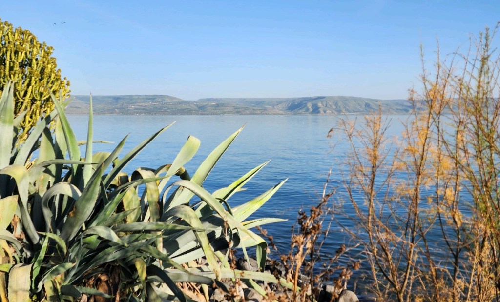 Come and See: The Gospel of Mark in a&nbsp;Poem